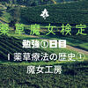 【勉強】『薬草魔女検定』勉強①日目「Ⅰ薬草療法の歴史①」