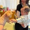 こんにちは、赤ちゃん？