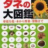 メロンが食えないぼくたちは、プリンスメロンを食っていた