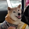 人間ドックに行ってきた・・