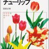 ウィジェット実験場「かわいいチューリップと蝶」