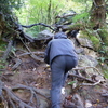 投入堂登山記