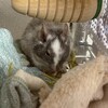 しろごまあん892日目
