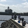 天狗堂半田店発　ハゼ好調！！　亀崎海浜緑地現場レポート