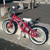 4歳の息子に自転車を買い、30分で乗れるようになった嘘のような本当の話