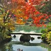 日本の美しい紅葉10選　秋の訪れを感じられる山々の紅葉　今年最後の木々が心を彩る大仕事！
