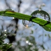 降らなかった雨といったん完了した動画編集