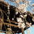 しだれ桜