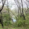 近つ飛鳥博物館