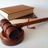 レズビアン母に「夫の権利」認める　米テネシー州で画期的判決