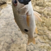 初の船浮へ