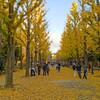 洞峰公園の秋～つくば市とその周辺の風景写真案内（２３９）
