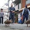 伯桜鵬が史上最速の初土俵から４場所目で三賞受賞　敢闘賞と技能賞