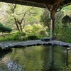 【川中温泉かど半旅館】日本三大美人の湯は美肌だけでない効能、全ての女性にオススメしたい