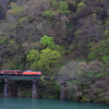 阿賀野川沿いの磐越西線を走る、DE10-1680牽引の「喜多方しだれ桜満喫号」を撮る！