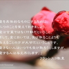 祈りの小箱(97)フランシスコ教皇『愛を具体的なものにするために』