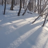 ◆'23/02/11　鳥海山山麓・開拓登山口より③…鳳来山～一本杉