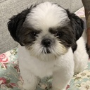Just because‥ただなんとなく⁉