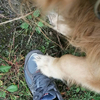 New Balance 2040  made in USA  実物画像（予告編）＆ ワンコあるある