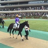 東京競馬8R パドック直前予想 ◎15 シングンジョーカー