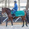 年末に駆け込むように美浦・尾関厩舎に入厩しています。☆アプリシティー