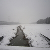 明け方から雨、昼から雪、中山５レース以降は中止