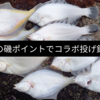 【初磯ポイントでコラボ投げ釣り】