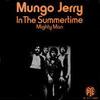 「イン・ザ・サマータイム（In The Summertime）」マンゴ・ジェリー（Mungo Jerry）（1970）