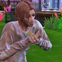 昆虫が早く元気になるMOD