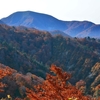 リメイク山歩記／2016年10月22日、錦秋の屛風岳（２）