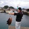 変な魚