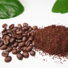 コーヒーかすで肥料を作ろう！捨てずに生かす環境へのお役立ち