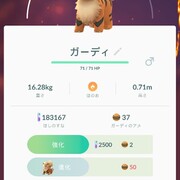 星の砂の集め方 カテゴリーの記事一覧 ポケモンgoでウォーキング 毎日１万歩を続けるコツ