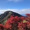 丹沢主脈縦走日帰り登山と難易度！紅葉の宮ヶ瀬から大倉へ！