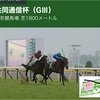 【 ハルの競馬予想 🏇 14.Feb’21 】