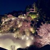 大満足！【ホテル椿山荘東京】春のお花見ディナービュッフェ②