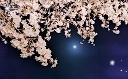 記事を見る