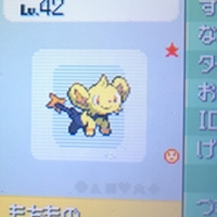 ポケモンプラチナ プレイメモ5 コンテスト さいごのぼうけん