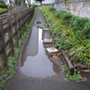 東京の自然遺産？文化遺産？