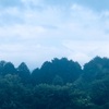 今朝の景色