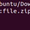 UbuntuでJohnコマンドを使うには