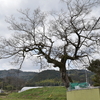 水の神さまを呼ぶ祭り　福岡県小倉南区木下