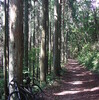 京都北山　花脊峠サイクリング（自転車）