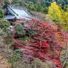 2019.11.24-紅葉狩りライド：大山寺