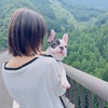 愛犬🐶と私👩🏻の自己紹介