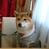 満1歳
