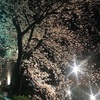 古門前の夜桜