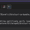 Error from  Visual Studio and GitHub integration - error setting certificate verify location