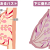 4人目の授乳後のおっぱいが怖い