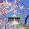 大阪城〜桜〜トレイン〜大阪駅新ホーム